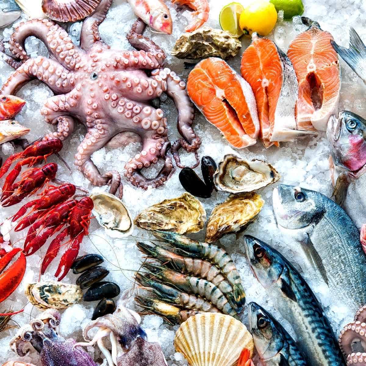 lots of seafood for keto - Is Dry Shrimp Keto? A Nutritionist Ways in with Recipes